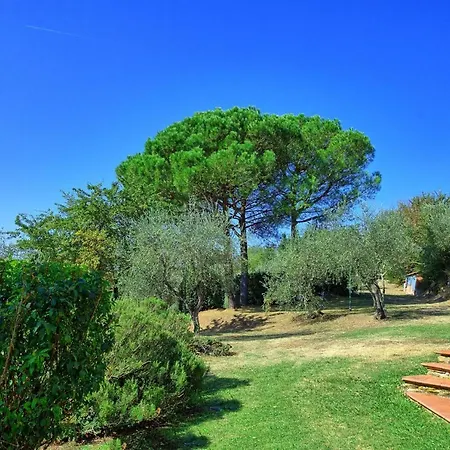 公寓 Camaioni Sleeps 4 T241423 *